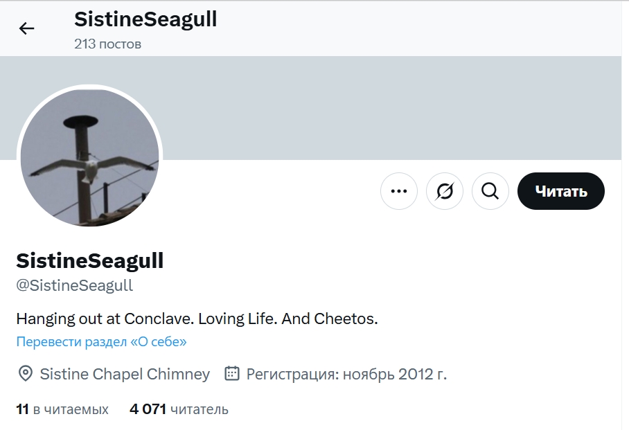 Конспірологи в захваті: яке значення має чайка на димарі Ватикану і чи може вона бути поганою прикметою?